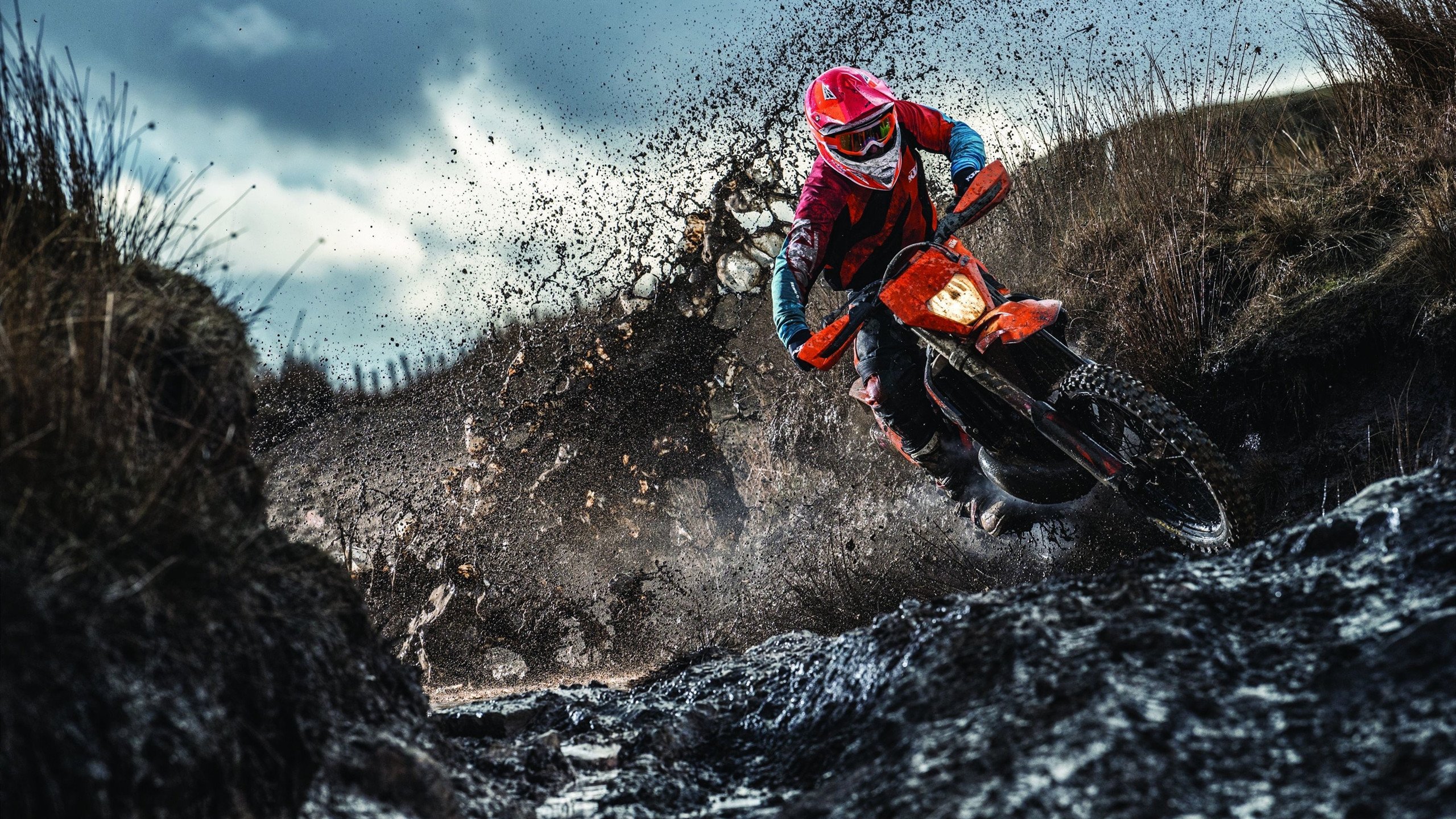 DB电竞官网登录-开拓者横扫公牛,乔治数据全面爆炸,一场定义赛季的胜利